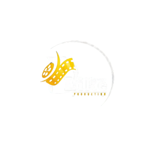 Like Dream Production